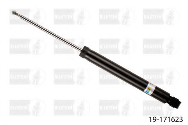 Цилиндр подвески 19171623 BILSTEIN