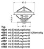 Термостат в сборе 412287D WAHLER