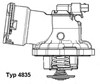 Термостат в корпусе 483587D WAHLER