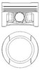 Поршня на 1 цилиндр, STD 8710590000 NURAL