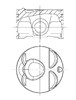 Поршень в комплекте на 1 цилиндр, STD 8743510000 NURAL