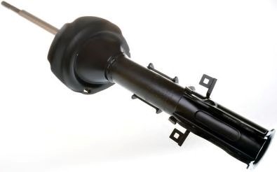 Амортизаторы передние DSB169G DENCKERMANN