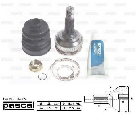 Шарнир привода наружный G12036PC PASCAL