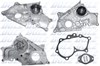Помпа водяная, (насос) охлаждения T209 DOLZ