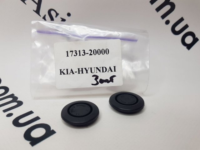 Заглушка днища пола 1731320000 HYUNDAI