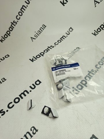 7957809000 SSANG YONG Клипса крепления накладок порогов купить в Хмельницкий