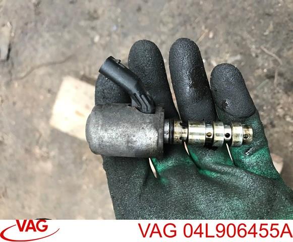 04L906455A VAG Клапан регулировки давления масла купить в Чернигов