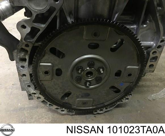 NISSAN 101023TA0A Двигатель в наличии Павлоград