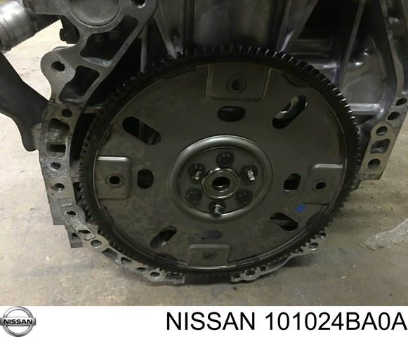 101024BA0A NISSAN Двигатель в сборе купить в Запорожье