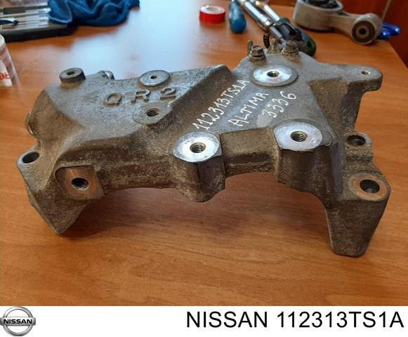 112313TS1A NISSAN купить в Кривой Рог