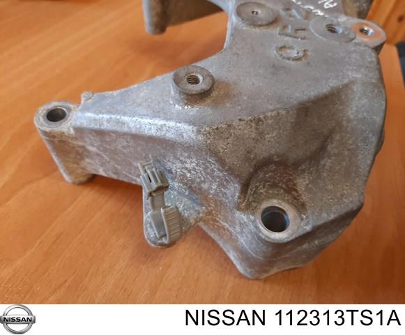 NISSAN 112313TS1A в наличии Чернигов