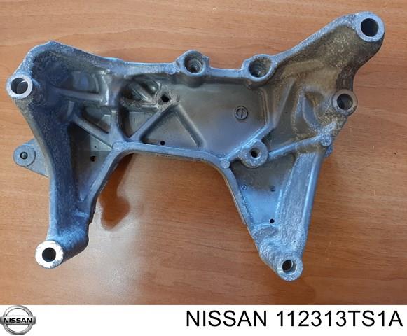 NISSAN 112313TS1A в наличии Житомир