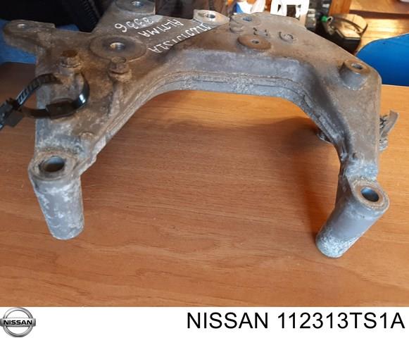 112313TS1A NISSAN купить в Винница