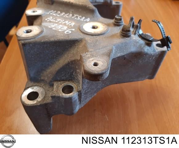 112313TS1A NISSAN купить в Чернигов