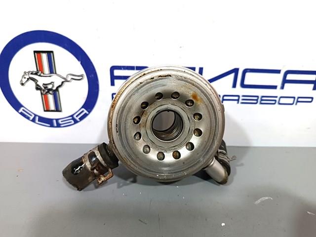 NISSAN 213059N00A Радиатор масляный в наличии Черновцы
