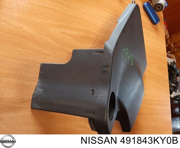491843KY0B NISSAN купить в Хмельницкий