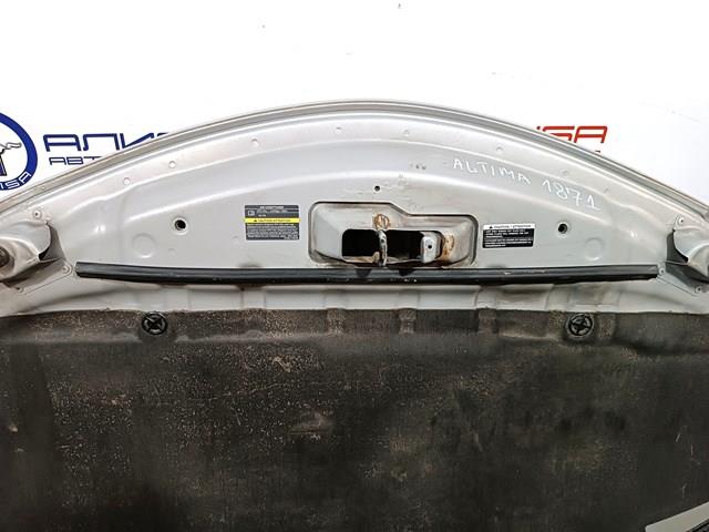 651003TA0A NISSAN Капот купить в Ровно