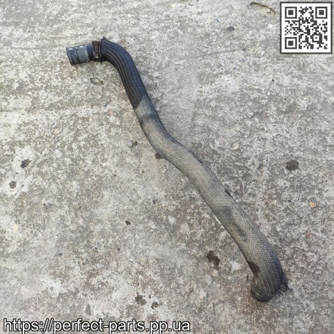 215033NA0A NISSAN Шланг (патрубок) радиатора охлаждения нижний купить в Чернигов