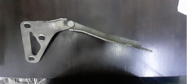 Завес капота, левый 24435368 GM