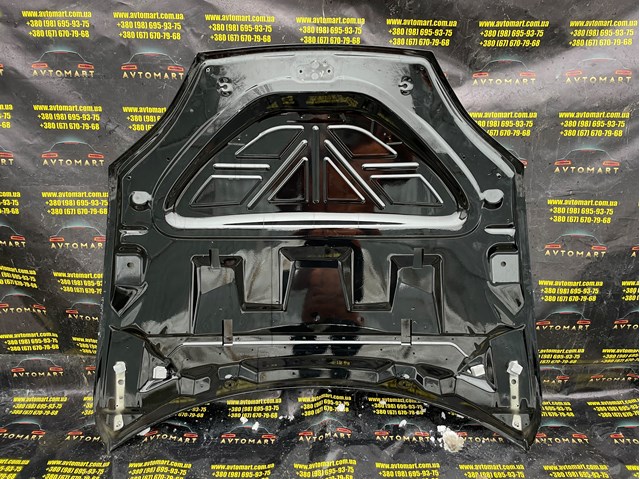 1051875E0G TESLA Капот купить в Ровно