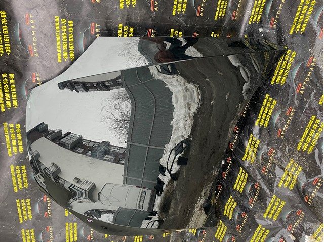 TESLA 1051875E0G Капот в наличии Полтава