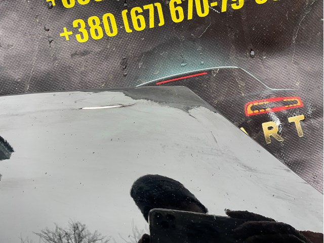 TESLA 1051875E0G Капот в наличии Черкассы