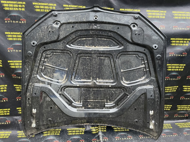 41007440427 Капот купить Каменское