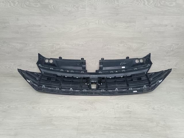 17A853651RIDJ VAG Решетка радиатора купить в Киев