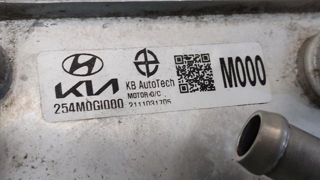 254M0GI000 HYUNDAI Радиатор масляный, задний купить в Чернигов