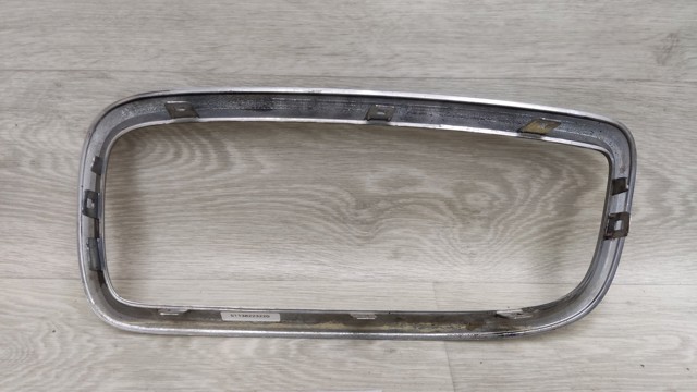 BMW 51138223220 Решетка радиатора правая в наличии Каменское