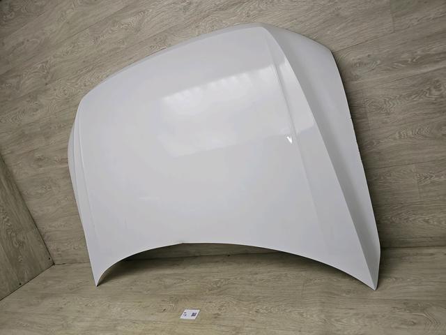VAG 5NN823031B Капот в наличии Запорожье