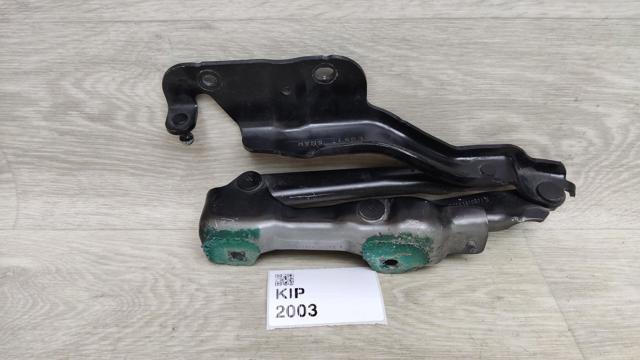 NISSAN 654005NN0A Петля капота правая в наличии Львов