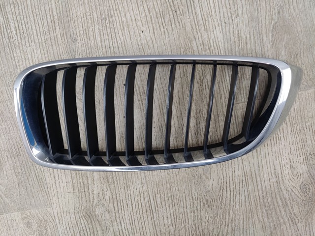 7294813 BMW Решетка радиатора купить в Черновцы