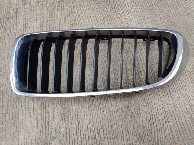 Облицовка радиатора 7294813 BMW