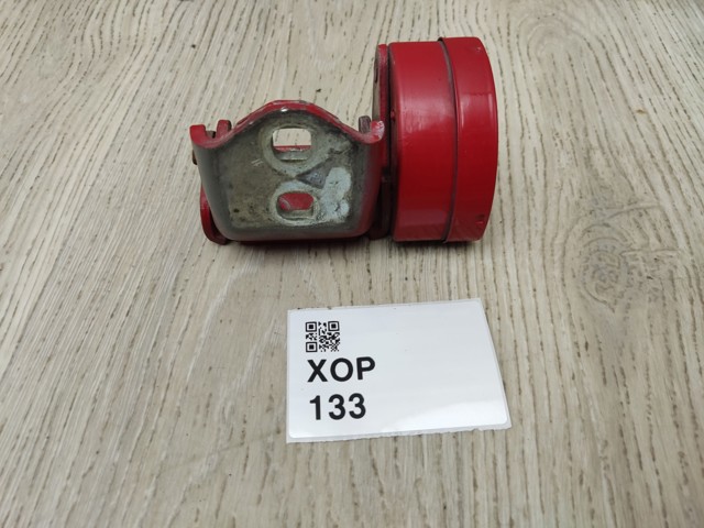 8200885639 RENAULT Петля двери задней правой купить в Запорожье