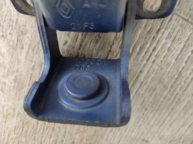 Завеса задней двери, ляды 844002579R RENAULT