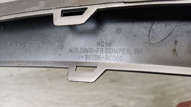 HYUNDAI 86596R2000 в наличии Днепр