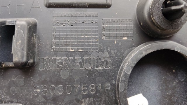 RENAULT 960307581R в наличии Павлоград