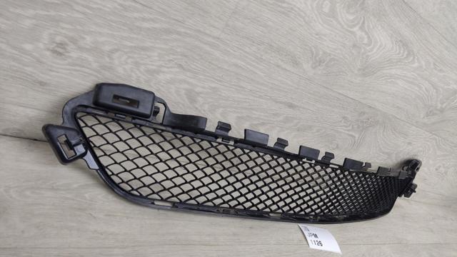 MERCEDES A2058850423 Решетка бампера в наличии Ужгород