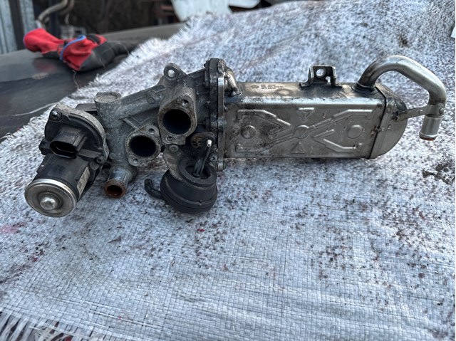 03L131512BL VAG Радиатор системы EGR рециркуляции выхлопных газов купить в Украина