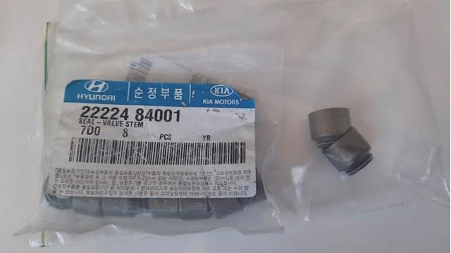 2222484001 HYUNDAI купить в Павлоград