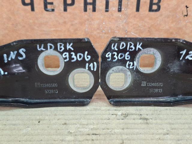 13246569 Петля двери задней (багажной 3/5-й) купить Запорожье