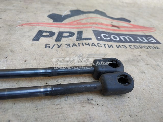 1354844080 FIAT Амортизатор багажника купить в Кривой Рог