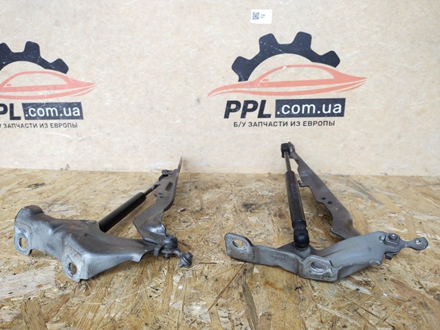 31250185 VOLVO Петля капота левая купить в Ужгород