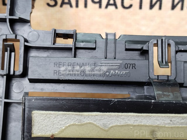 739820007R купить Днепр