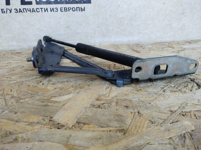 904514876R Амортизатор багажника купить Тернополь