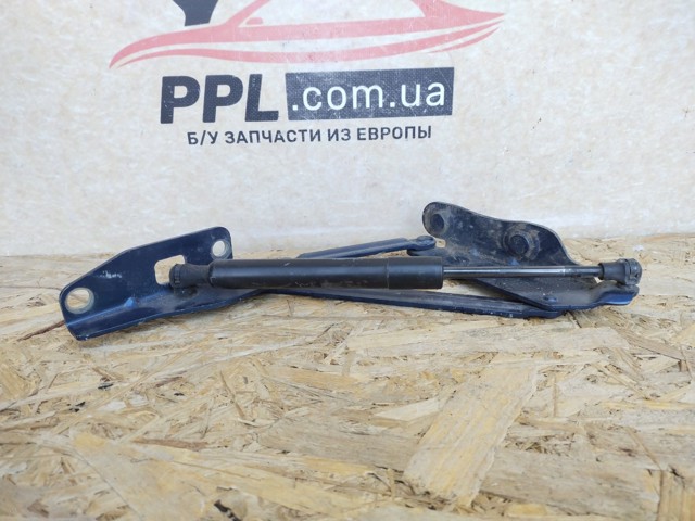 904514876R Амортизатор багажника купить Украина