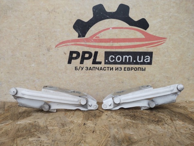 9067500121 Петля капота правая купить Павлоград