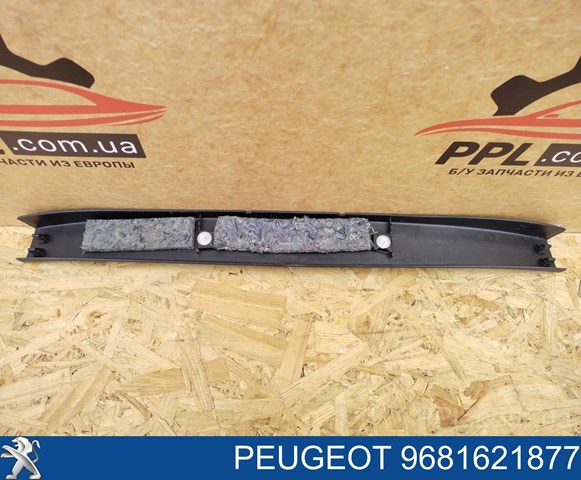 PEUGEOT 9681621877 в наличии Сумы