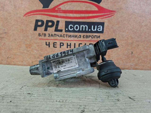 9807593080 PEUGEOT Клапан ЕГР купить в Ирпень